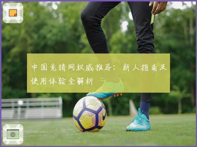 中国竞猜网权威推荐：新人指南及使用体验全解析