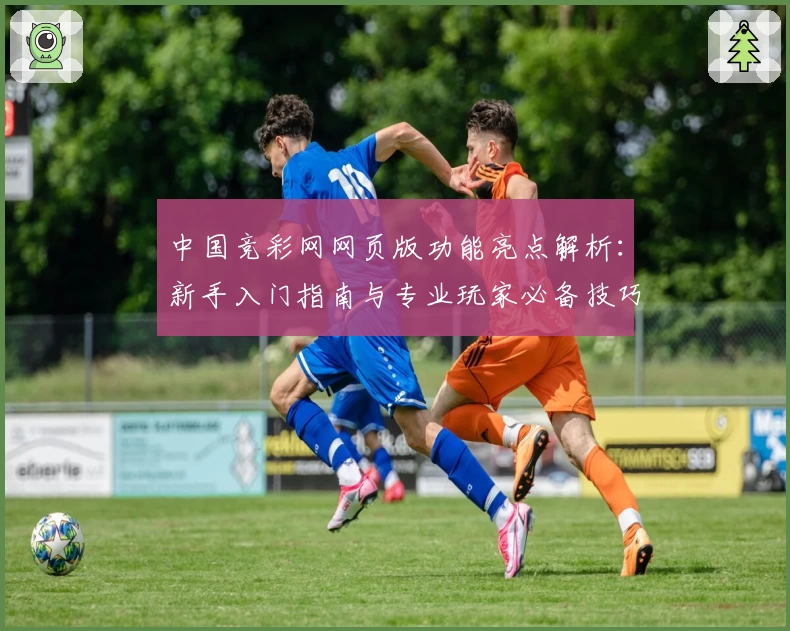 中国竞彩网网页版功能亮点解析：新手入门指南与专业玩家必备技巧攻略